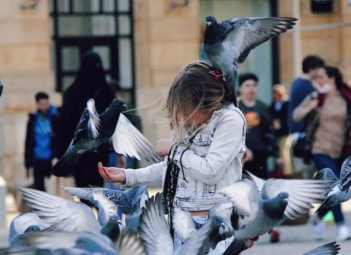 Meisje voert duiven